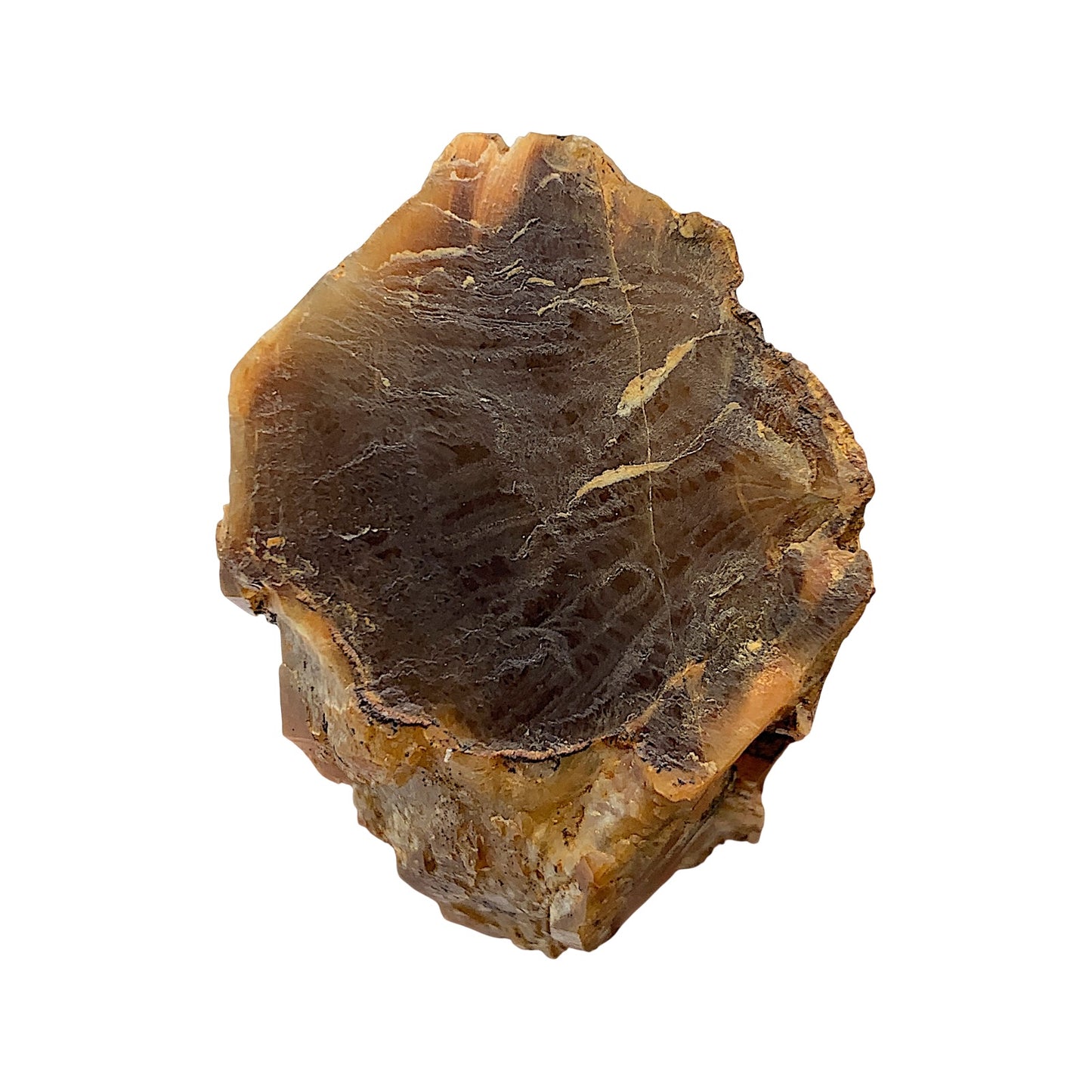 Quartz With Astrophylite Incs. Crystal Specimen From Zagi Mount Pakistan