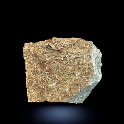 Brown Titanite / Sphene Rare Crystals Mineral Specimen - from Skardu, Pakistan