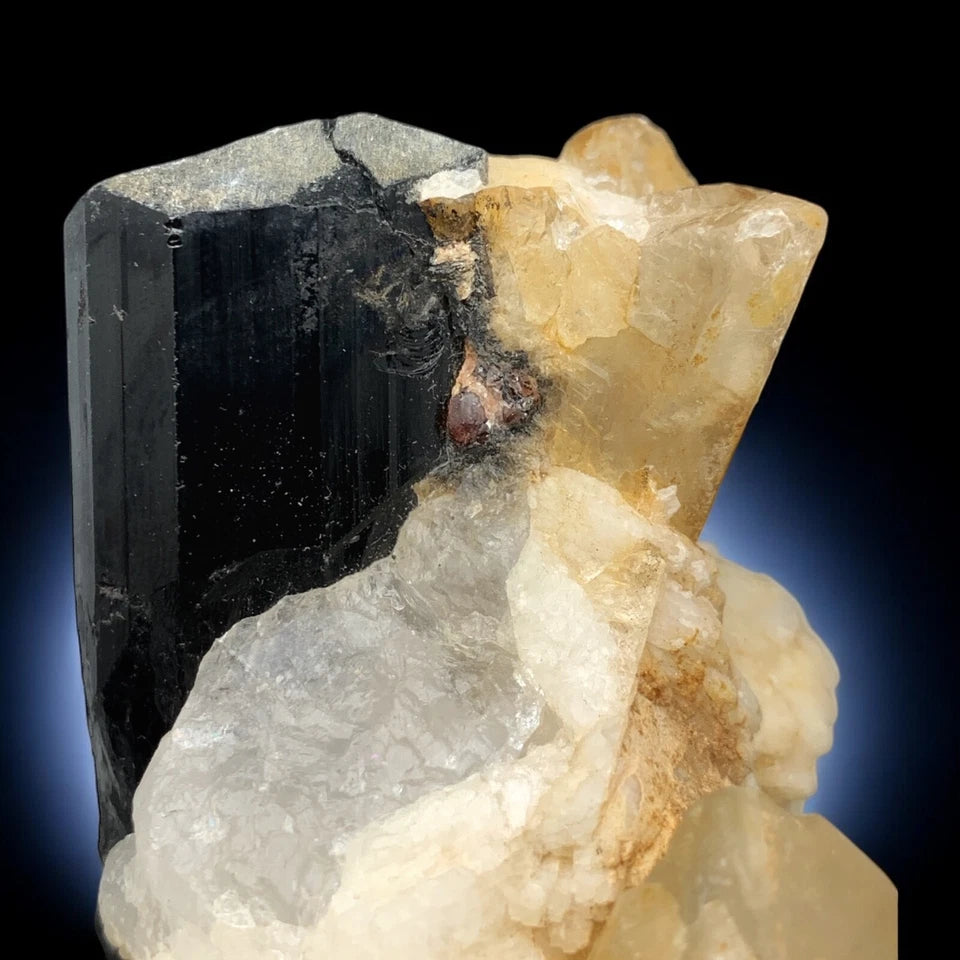 Schorl Tourmaline Crystal w/ Garnet & Quartz Mineral Specimen - Skardu, Pakistan